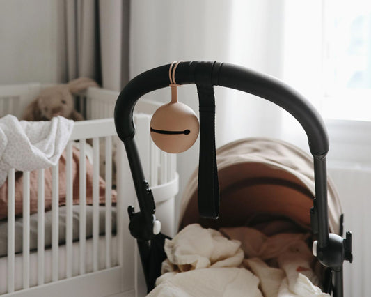 Silicone Soother Case | Cloudy Mauve